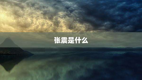 张震是什么