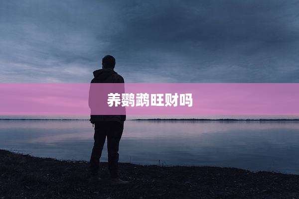 养鹦鹉旺财吗