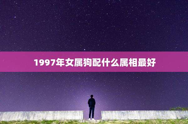 1997年女属狗配什么属相最好