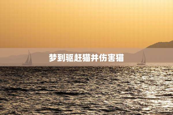 梦到驱赶猫并伤害猫