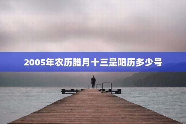 2005年农历腊月十三是阳历多少号