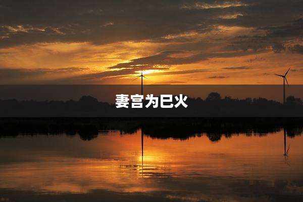 妻宫为巳火