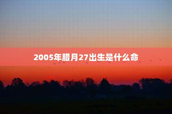 2005年腊月27出生是什么命
