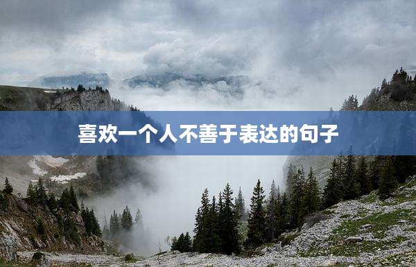 喜欢一个人不善于表达的句子