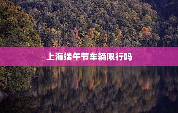 上海端午节车辆限行吗