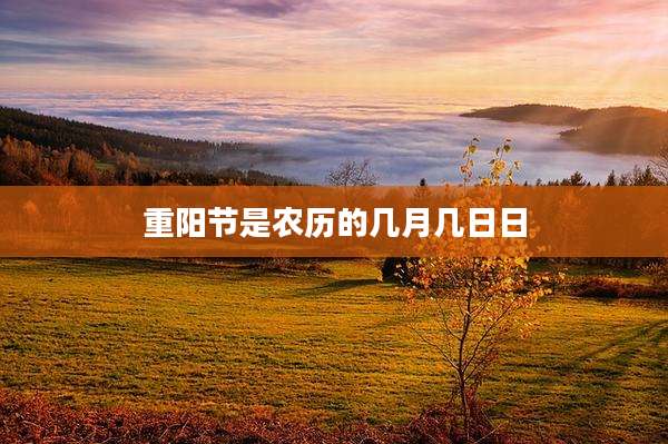 重阳节是农历的几月几日日