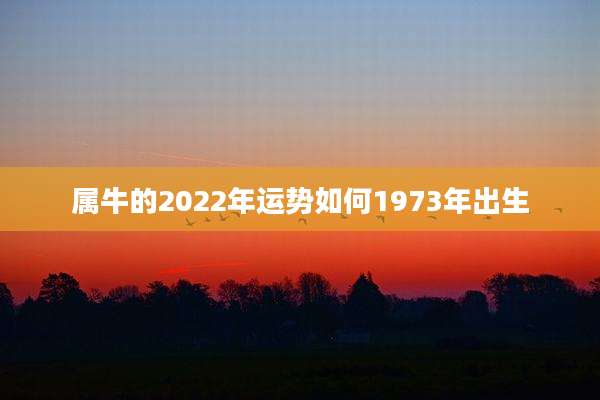 属牛的2022年运势如何1973年出生