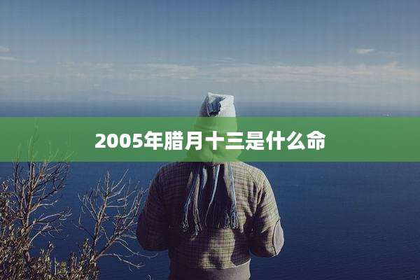 2005年腊月十三是什么命
