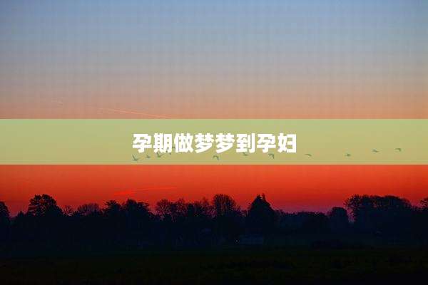 孕期做梦梦到孕妇
