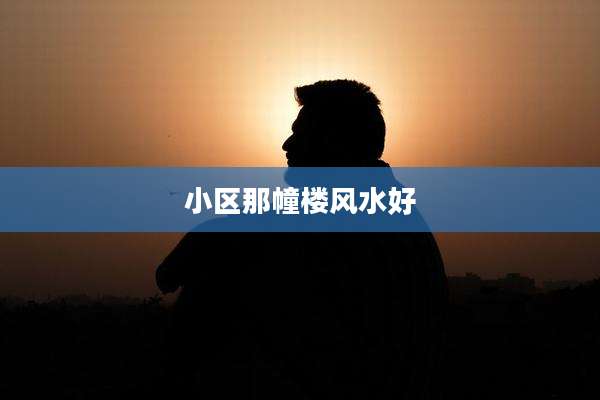 小区那幢楼风水好
