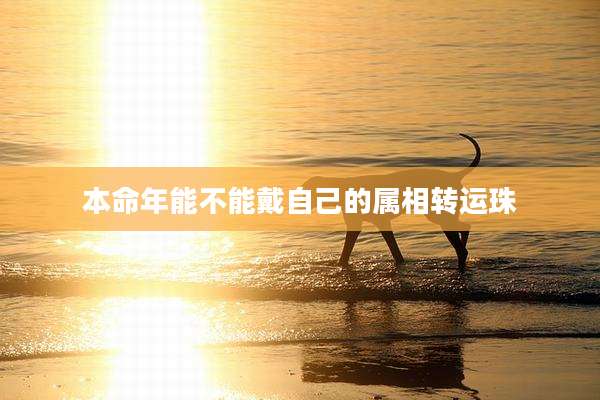 本命年能不能戴自己的属相转运珠