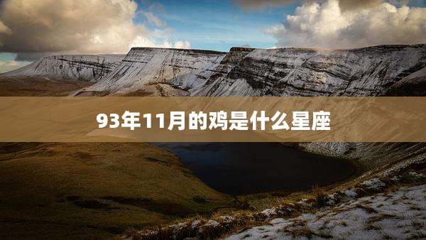 93年11月的鸡是什么星座