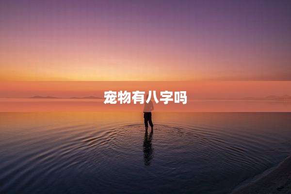 宠物有八字吗