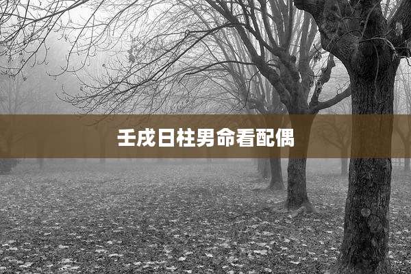 壬戌日柱男命看配偶
