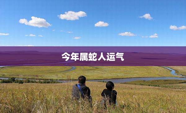 今年属蛇人运气