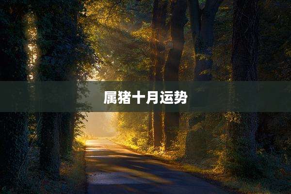 属猪十月运势