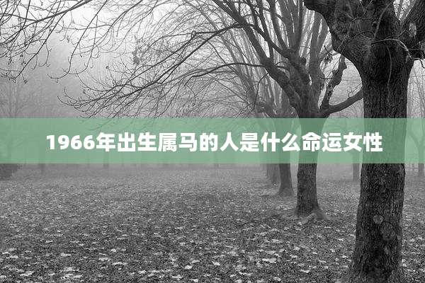 1966年出生属马的人是什么命运女性