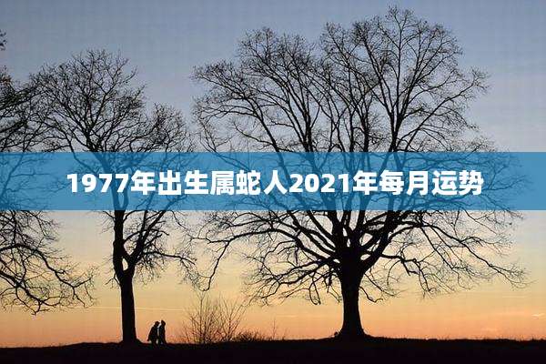 1977年出生属蛇人2021年每月运势