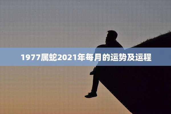 1977属蛇2021年每月的运势及运程