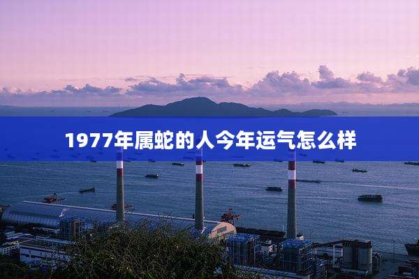 1977年属蛇的人今年运气怎么样