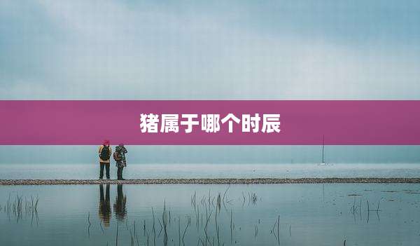 猪属于哪个时辰