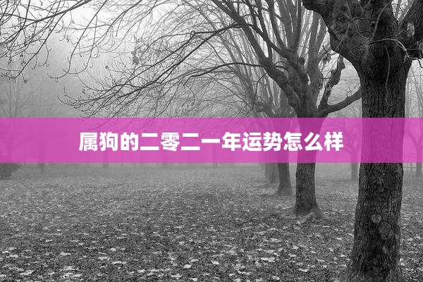 属狗的二零二一年运势怎么样