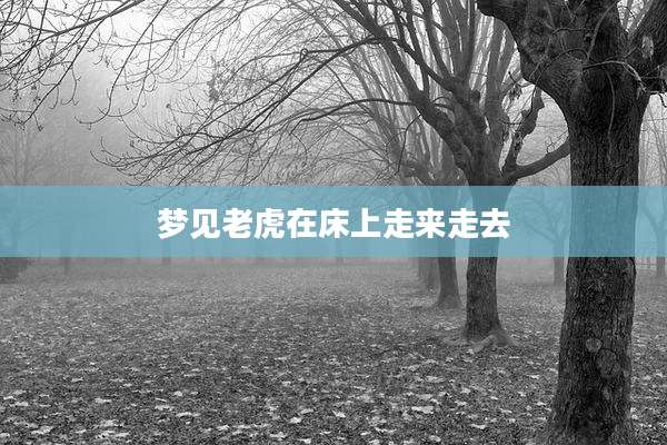 梦见老虎在床上走来走去