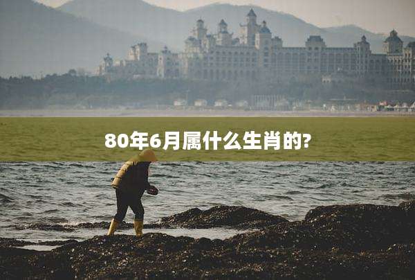 80年6月属什么生肖的?