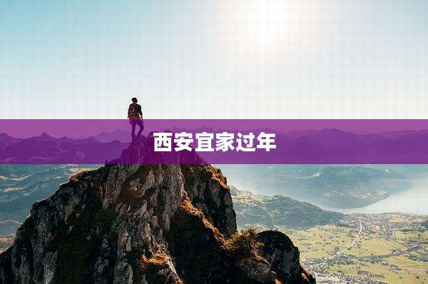 西安宜家过年