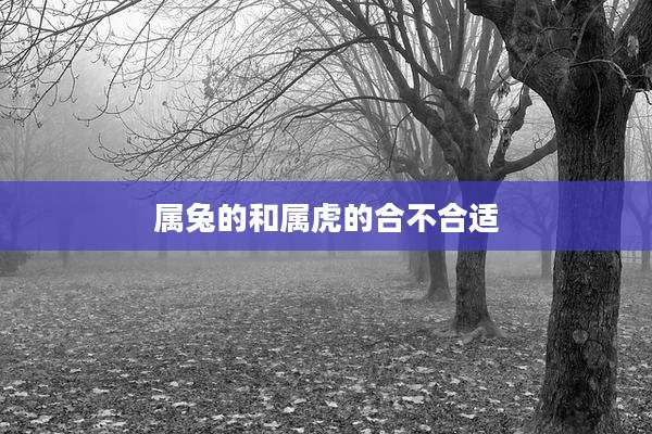 属兔的和属虎的合不合适