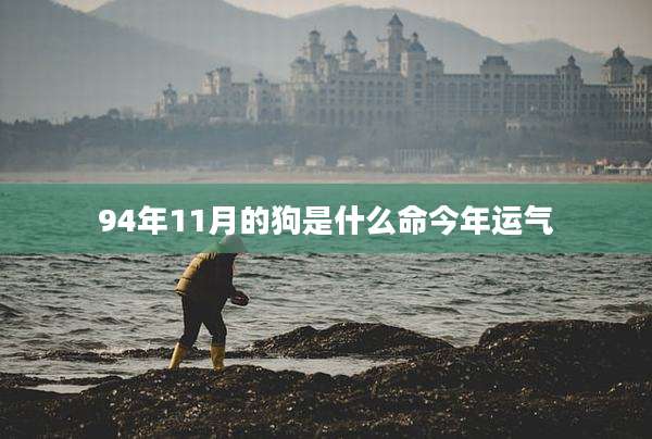 94年11月的狗是什么命今年运气