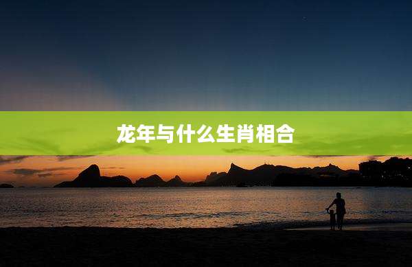 龙年与什么生肖相合