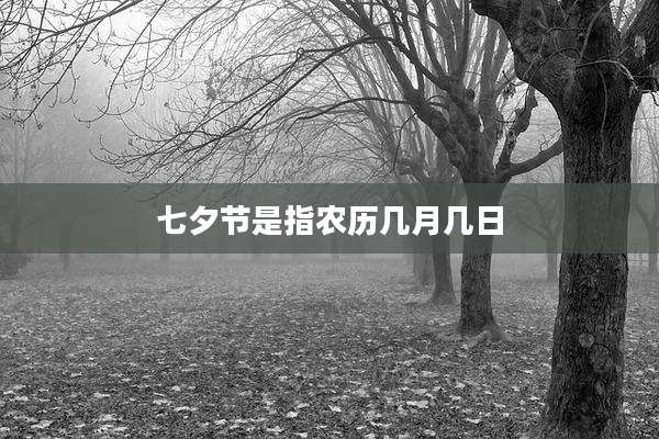 七夕节是指农历几月几日