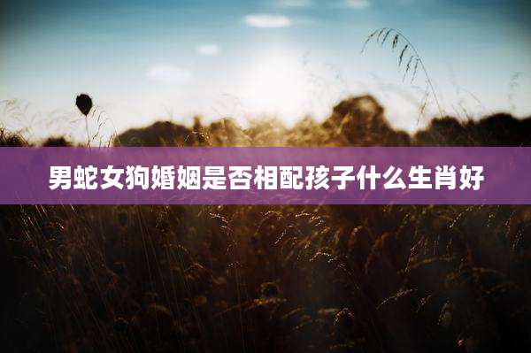 男蛇女狗婚姻是否相配孩子什么生肖好