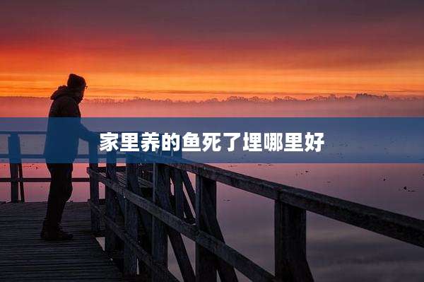 家里养的鱼死了埋哪里好