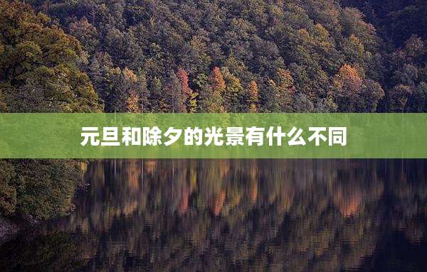 元旦和除夕的光景有什么不同