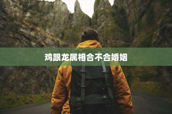 鸡跟龙属相合不合婚姻