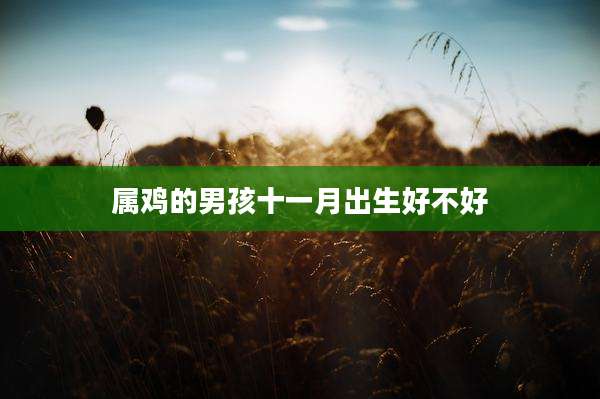 属鸡的男孩十一月出生好不好