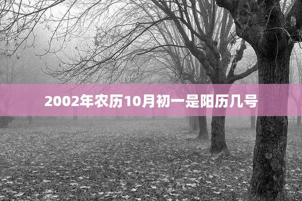 2002年农历10月初一是阳历几号