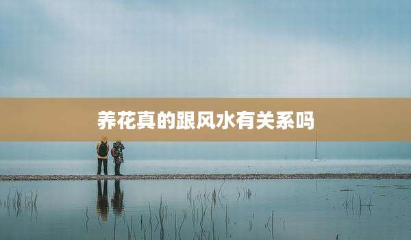 养花真的跟风水有关系吗