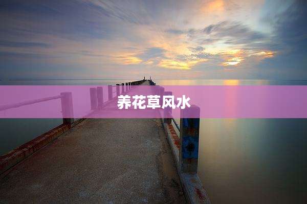 养花草风水