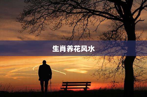 生肖养花风水