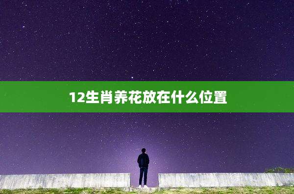 12生肖养花放在什么位置