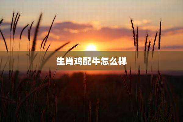生肖鸡配牛怎么样