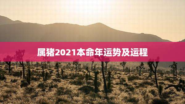 属猪2021本命年运势及运程