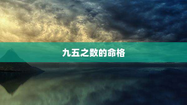 九五之数的命格