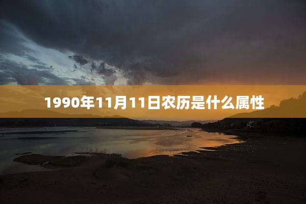 1990年11月11日农历是什么属性