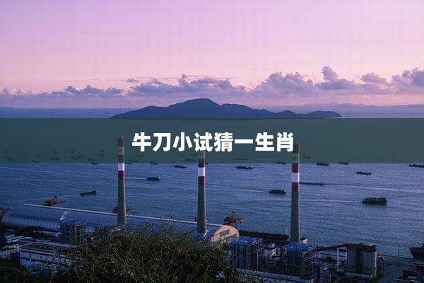 牛刀小试猜一生肖