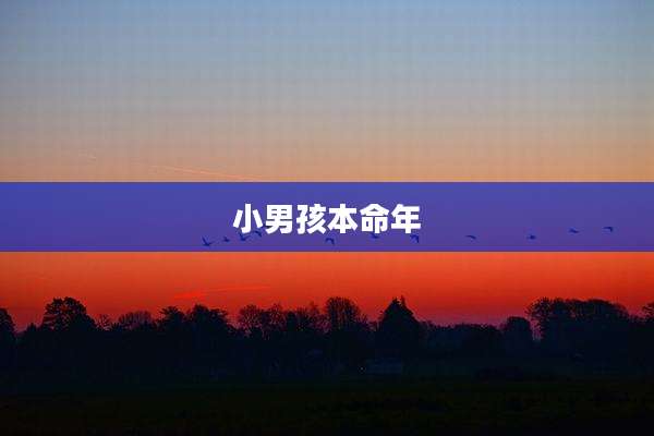 小男孩本命年