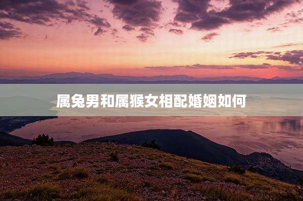 属兔男和属猴女相配婚姻如何